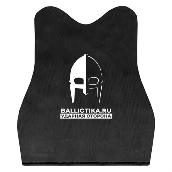 Баллистика в спину Дефендер 2 (Акетон БП) 223 - фото 11598