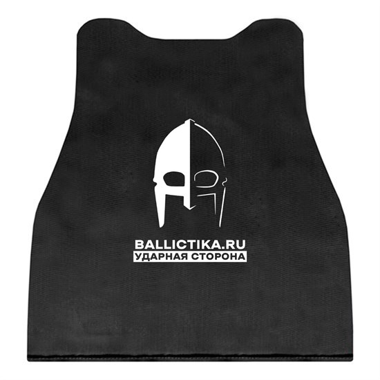 Баллистика в спину модуля Монолит-М 2 размера (Акетон БП) 234 - фото 11616