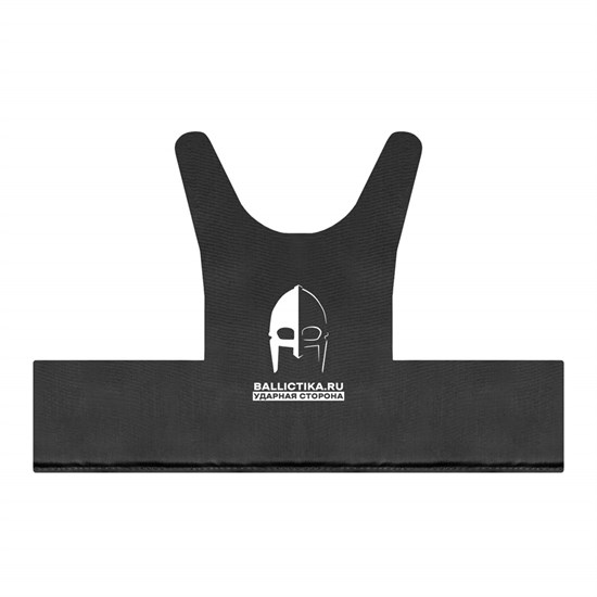 Баллистика в спину плитника Покров СВОИ вер.1 (Акетон БП) 698 - фото 13313