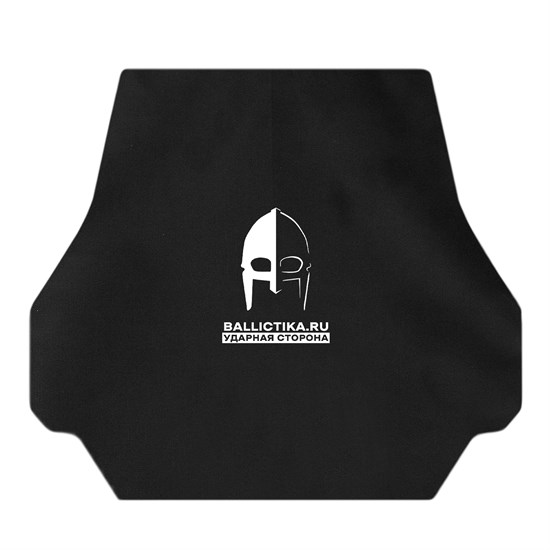 Баллистика в спину плитоносца Рекс (Акетон БП) 949 - фото 18294