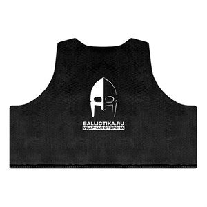 Баллистика в грудь бронежилета Tactical Dog Equipments (Акетон БП) 333