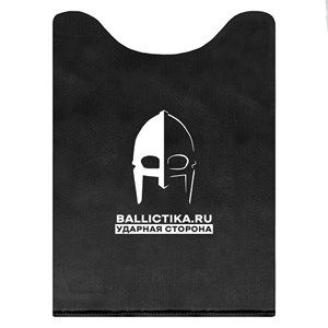 Баллистика в спину модуля Монолит-М 1 размера (Акетон БП) 214