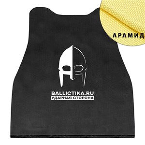 Баллистика в спину модуля Монолит-М 2 размера (Арамид БП) 234А