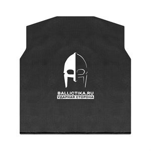 Баллистика в грудь плитника Покров СВОИ вер.2 (Акетон БП) 696